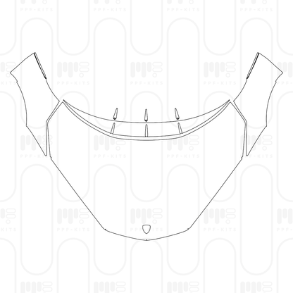 Pre-Cut PPF Lamborghini Revuelto 2026