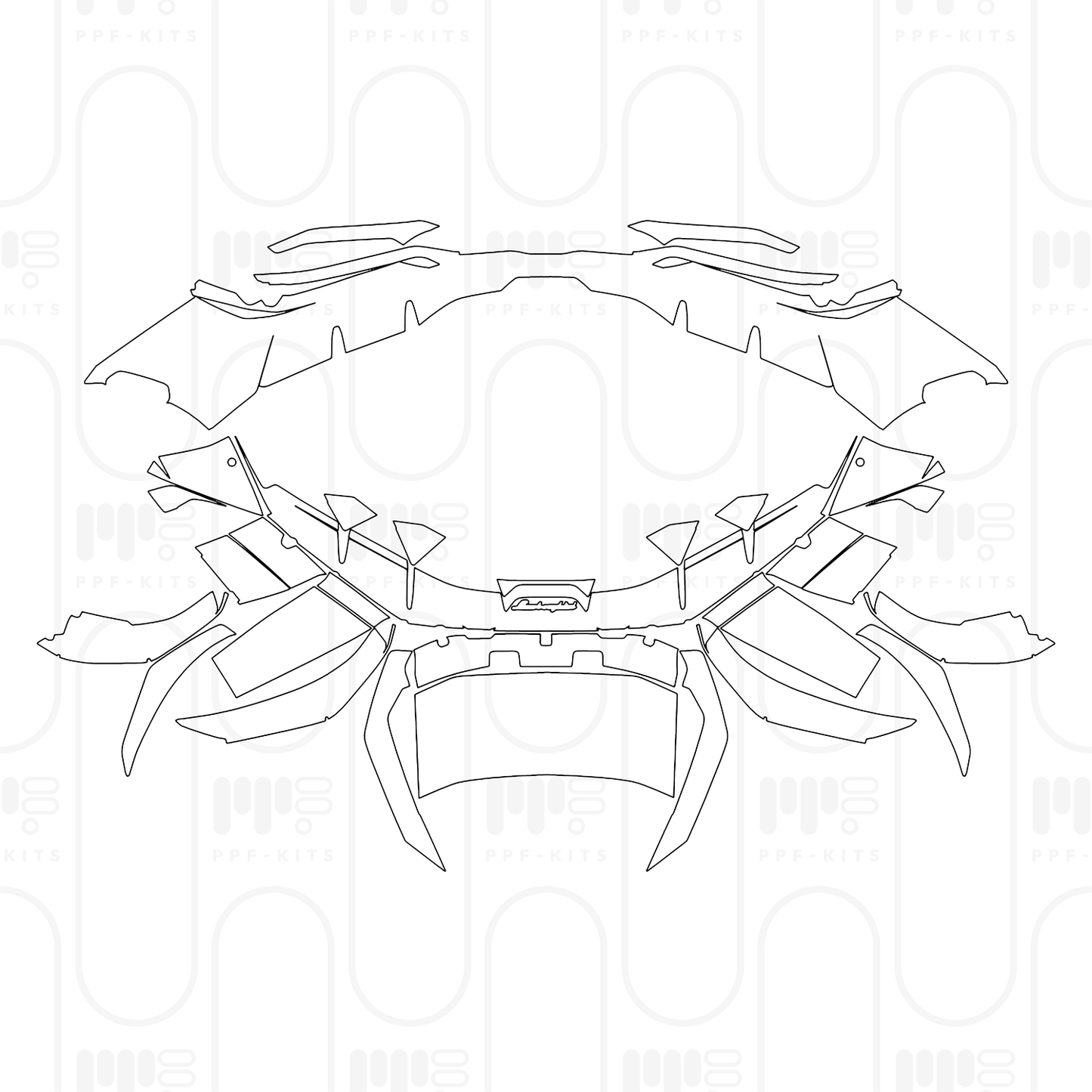 Pre-Cut PPF Lamborghini Revuelto 2026