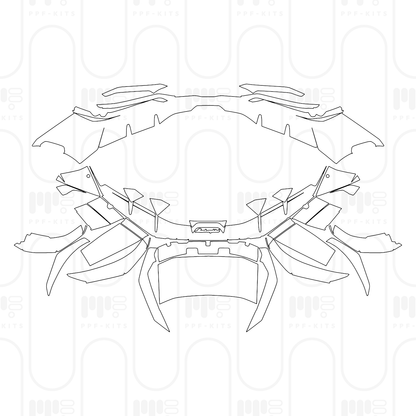 Pre-Cut PPF Lamborghini Revuelto 2026