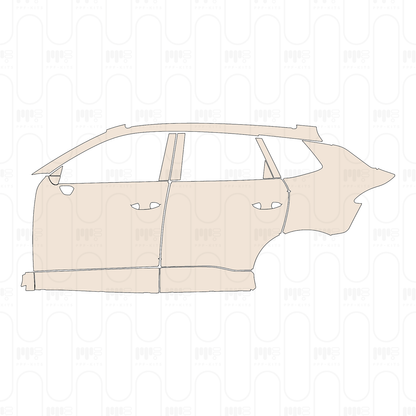 Pre-Cut PPF Cupra Terramar 2024